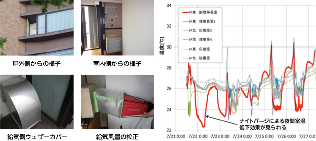 ナイトパージ