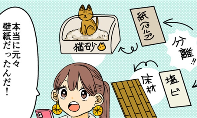 猫を飼いたい女性『トイレ』について調べてみると…「そうだったのか！」