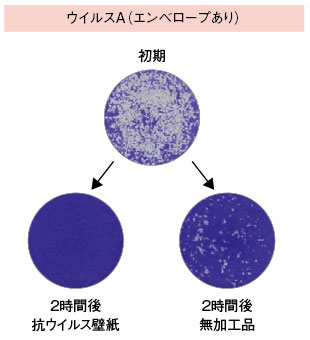 抗ウイルス試験（プラーク法）結果 エンベローブあり